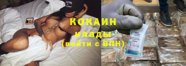 ГАЛЛЮЦИНОГЕННЫЕ ГРИБЫ Аркадак
