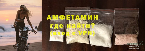 ГАЛЛЮЦИНОГЕННЫЕ ГРИБЫ Аркадак