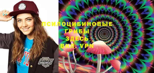 ГАЛЛЮЦИНОГЕННЫЕ ГРИБЫ Аркадак