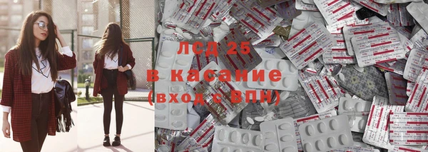 ГАЛЛЮЦИНОГЕННЫЕ ГРИБЫ Аркадак