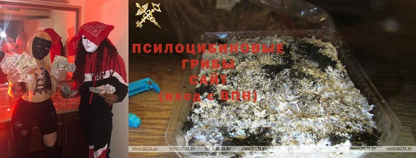 ГАЛЛЮЦИНОГЕННЫЕ ГРИБЫ Аркадак