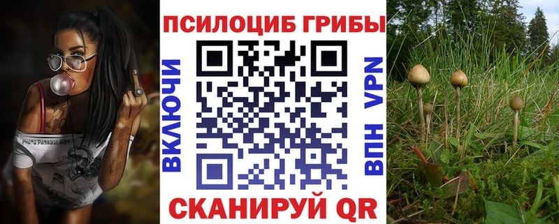 Галлюциногенные грибы Psilocybe Остров